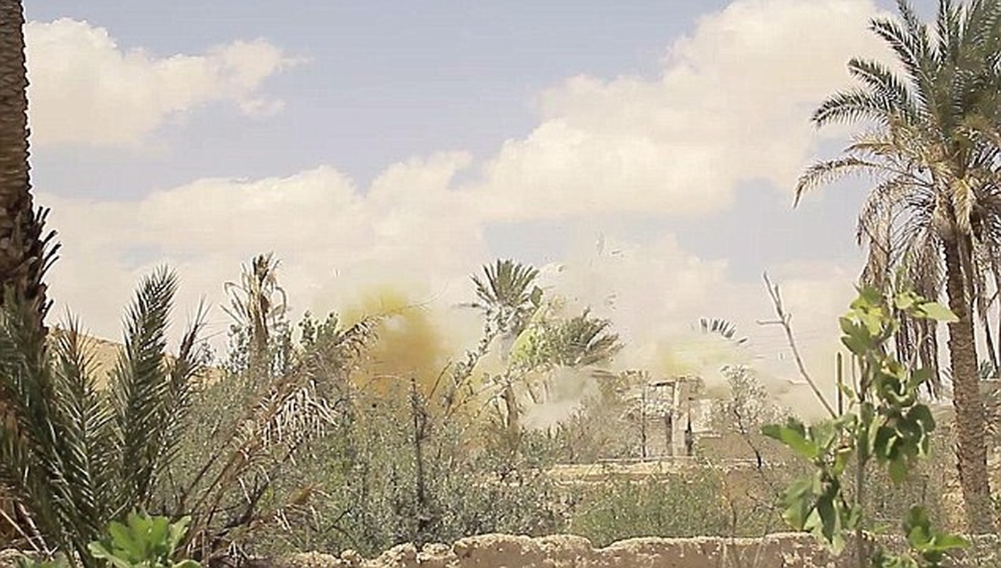 Phien quan IS da cho no tung hai lang mo o Palmyra-Hinh-4